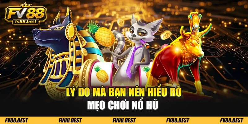 Lý do mà bạn nên hiểu rõ mẹo chơi nổ hũ 